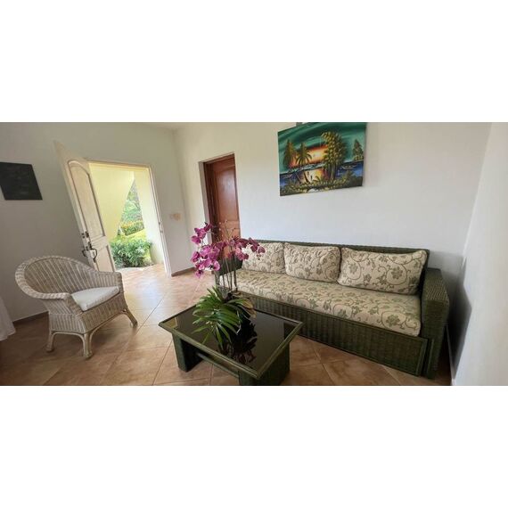 Коттедж в Сосуа (Сосуа) площадь 185м² 2-этажный, изображение 18