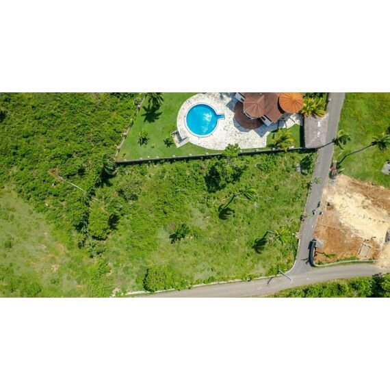 Земля в Сосуа (Сосуа) участок в пригороде 3000м², изображение 3