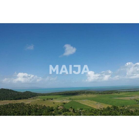 Земля в Мичесе (Мичес) участок в деревне 7441106.9м², изображение 12
