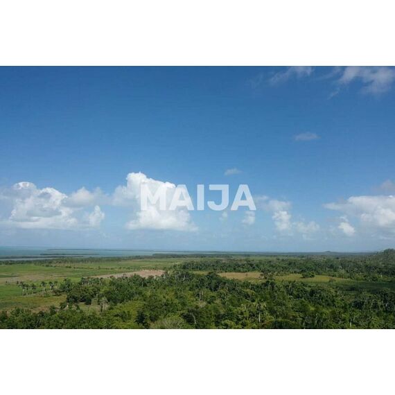 Земля в Мичесе (Мичес) участок в деревне 7441106.9м², изображение 10