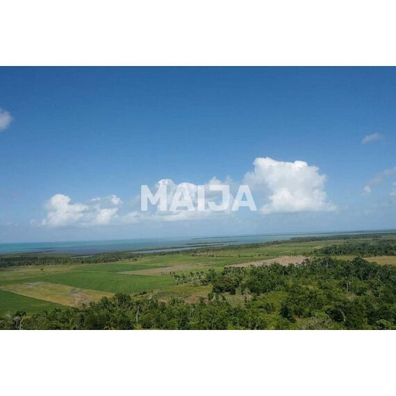 Земля в Мичесе (Мичес) участок в деревне 7441106.9м², изображение 14