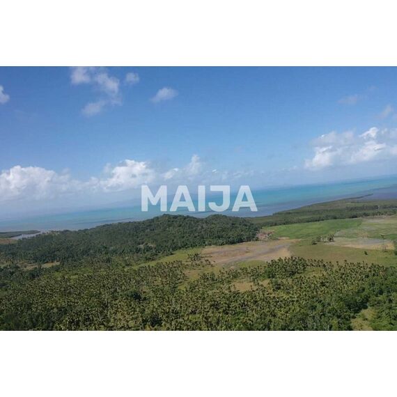 Земля в Мичесе (Мичес) участок в деревне 7441106.9м², изображение 15