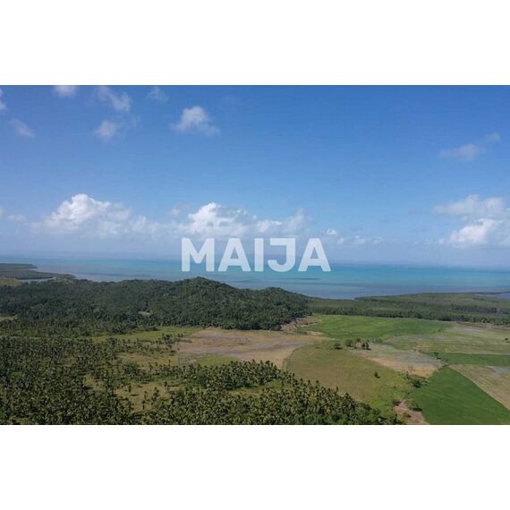 Земля в Мичесе (Мичес) участок в деревне 7441106.9м², изображение 6