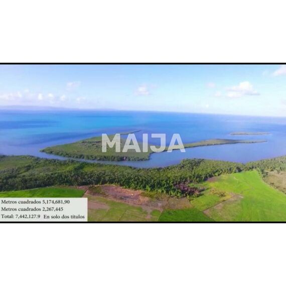 Земля в Мичесе (Мичес) участок в деревне 7441106.9м², изображение 11