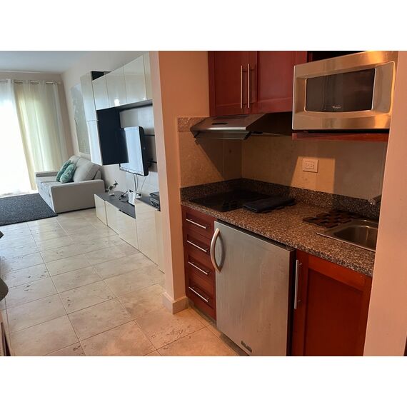 Квартира 1-комнатная студия 1+0 у моря в Пунта-Кана площадь 70м² 1 этаж, изображение 6