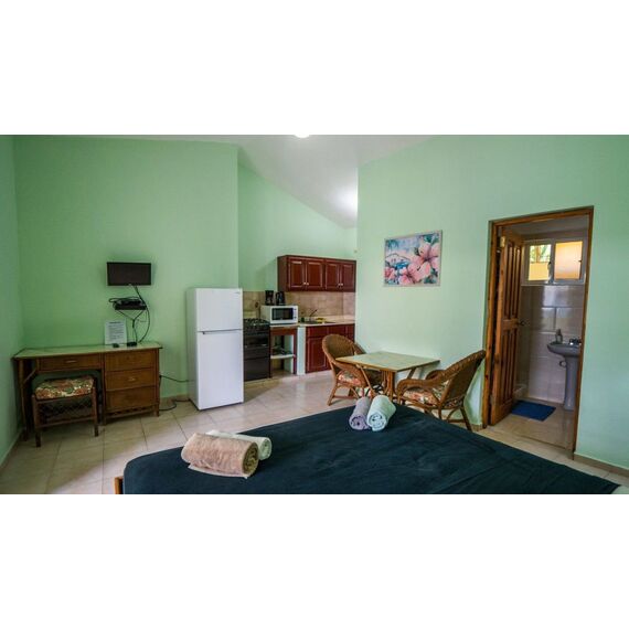 Квартира 1-комнатная студия 1+0 в Сосуа (Сосуа) площадь 51м² 3 этаж, изображение 10