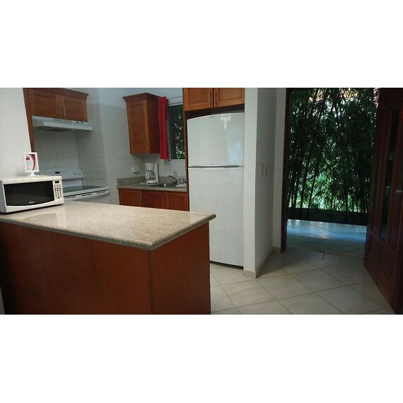 Квартира 3-комнатная 2+1 в Сосуа (Сосуа) площадь 100м², изображение 10