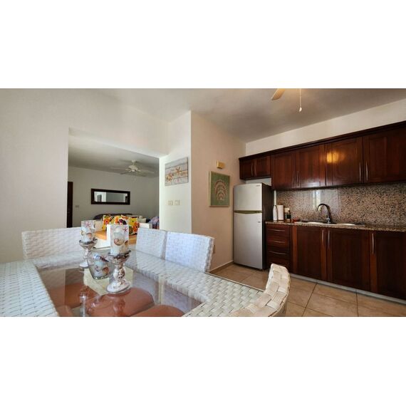 Квартира 3-комнатная 2+1 в Пунта-Кана (Баваро) площадь 253м², изображение 8